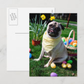 Cartes Pour Fêtes Annuelles Pug Easter (Devant / Derrière)