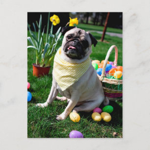 Cartes Pour Fêtes Annuelles Pug Easter