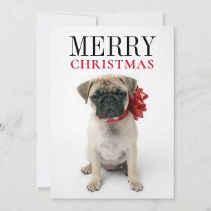 Cartes Pour Fêtes Annuelles Pug Puppy