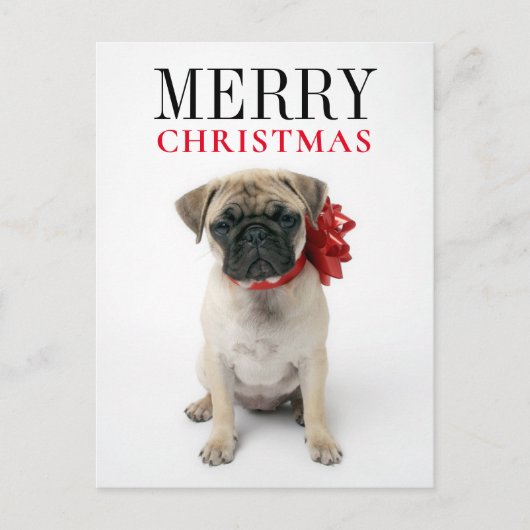 Cartes Pour Fêtes Annuelles Pug puppy with Christmas Bow (Devant)