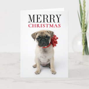 Cartes Pour Fêtes Annuelles Pug puppy with Christmas Bow