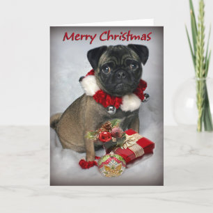 Cartes Pour Fêtes Annuelles Pug Wishes you Merry Christmas