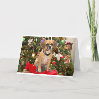 Cartes Pour Fêtes Annuelles Puggle