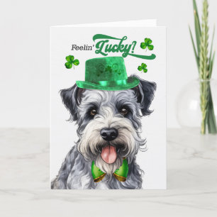Cartes Pour Fêtes Annuelles Pumi Chien Lucky St Patrick's Day