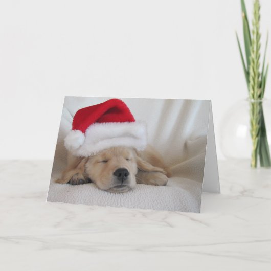 Cartes Pour Fêtes Annuelles Pup de Noël Santa Hat (Devant)