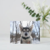 Cartes Pour Fêtes Annuelles Puppy de Christmas (Debout devant)