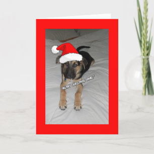 Cartes Pour Fêtes Annuelles Puppy de Merry Christmas