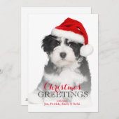 Cartes Pour Fêtes Annuelles Puppy dog (Devant / Derrière)