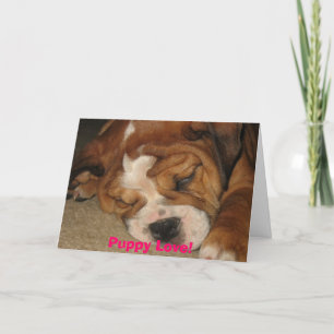 Cartes Pour Fêtes Annuelles Puppy Love !