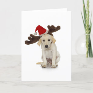 Cartes Pour Fêtes Annuelles Puppy with Santa Hat and Reindeer Ears