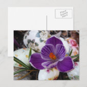 Cartes Pour Fêtes Annuelles Purple Crocus et Floral Easter Eggs (Devant / Derrière)
