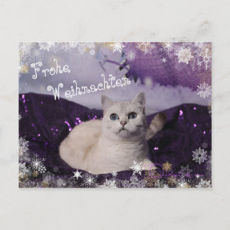 Cartes Pour Fêtes Annuelles Purple XMAS Cats