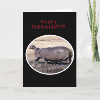 "Que se passe-t-il ? ? ? / HIPPOPOTAMUS ROARING GR