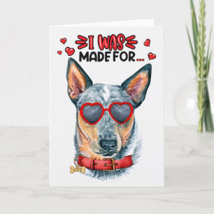Cartes Pour Fêtes Annuelles Queensland Heeler Chien Vous Aimant Valentine