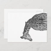 Cartes Pour Fêtes Annuelles Queue de girafe noir blanc (Devant / Derrière)