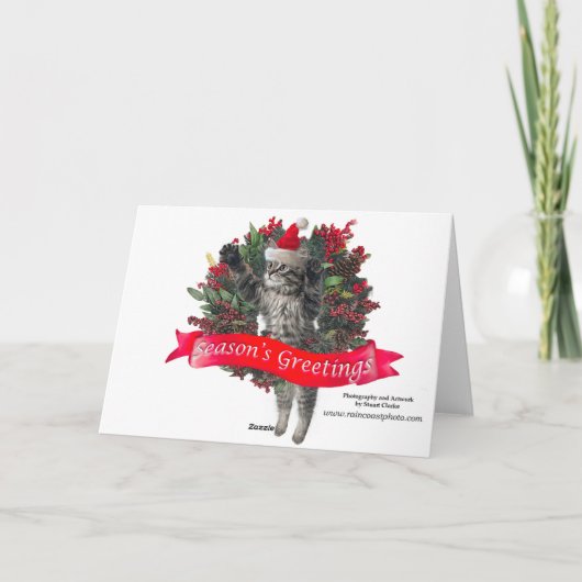 Cartes Pour Fêtes Annuelles Queue de Noël (Dos)