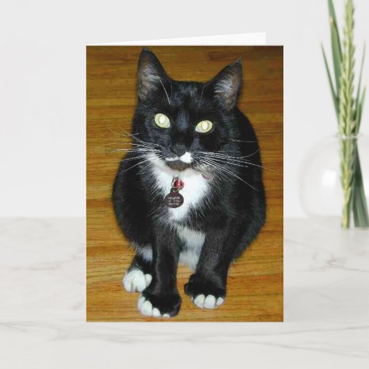 Cartes Pour Fêtes Annuelles Qui je ? (Devant)