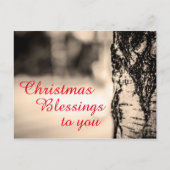 Cartes Pour Fêtes Annuelles Quiet Peace Rustic Birch Tree Christmas Blessings (Devant)