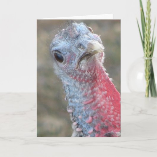 Cartes Pour Fêtes Annuelles Quoi ? Bon thanksgiving (Devant)