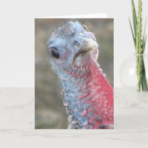 Cartes Pour Fêtes Annuelles Quoi ? Bon thanksgiving