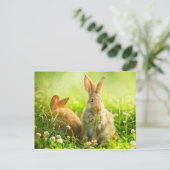 Cartes Pour Fêtes Annuelles Rabbits d'Easter (Debout devant)