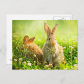 Cartes Pour Fêtes Annuelles Rabbits d'Easter (Devant / Derrière)