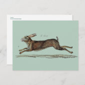 Cartes Pour Fêtes Annuelles Racing Hare (Devant / Derrière)