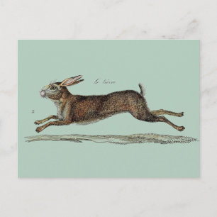 Cartes Pour Fêtes Annuelles Racing Hare