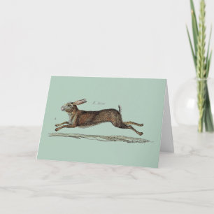 Cartes Pour Fêtes Annuelles Racing Hare