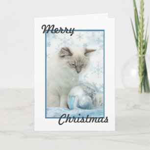 Cartes Pour Fêtes Annuelles ragdoll christmas card