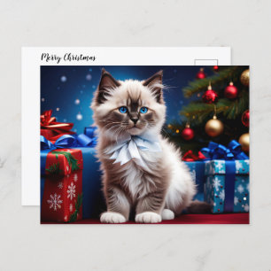 Cartes Pour Fêtes Annuelles Ragdoll Kitten cadeau de Noël