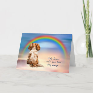 Cartes Pour Fêtes Annuelles Rainbow Cavalier King Charles Spaniel Sympathie