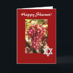 Cartes Pour Fêtes Annuelles Raisins Shavuot-Rouges heureux/étoile de David<br><div class="desc">Cette carte assez rouge comporte de beaux raisins rouges,  et une étoile de David célébrant les vacances juives de Shavuot !  À l'intérieur du du pouvoir être personnalisé pour dire ce que vous souhaitez. L'image est public domain avec l'autorisation de http://www.public-domain-image.com/</div>