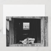 Cartes Pour Fêtes Annuelles ranch de bétail (Devant / Derrière)