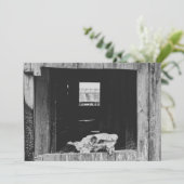 Cartes Pour Fêtes Annuelles ranch de bétail (Debout devant)