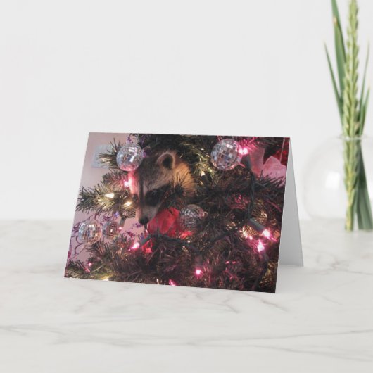 Cartes Pour Fêtes Annuelles Raton laveur de Noël (Devant)