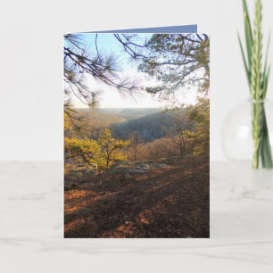 Cartes Pour Fêtes Annuelles Reach for the Light