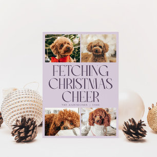 Cartes Pour Fêtes Annuelles Récupération de la Joie de Noël Photo de Chien Vio
