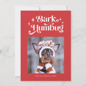 Cartes Pour Fêtes Annuelles Red BARK HUMBUG Funny Chien Photo Noël (Devant)