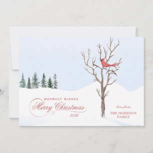 Cartes Pour Fêtes Annuelles Red Cardinal Bird Joyeux NoëlAppartement de vacanc