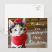 Cartes Pour Fêtes Annuelles Red Christmas Kitten (Devant / Derrière)