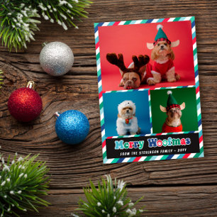 Cartes Pour Fêtes Annuelles Red Green Blue Retro Merry Woofmas Photo Collage