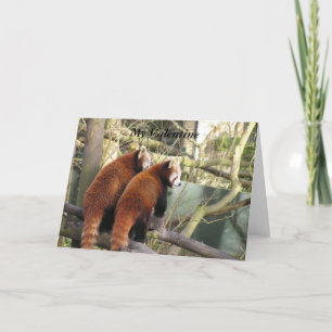 Cartes Pour Fêtes Annuelles Red Panda Valentine Card