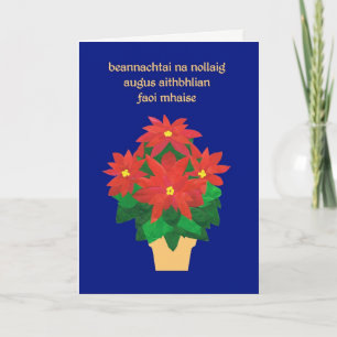 Cartes Pour Fêtes Annuelles Red Poinsettias sur Blue Irish Language Grey