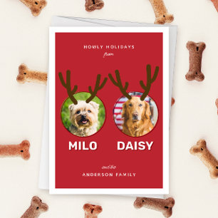 Cartes Pour Fêtes Annuelles Red Reinpet 2 Photo Animaux de Noël