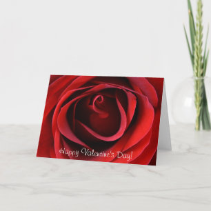 Cartes Pour Fêtes Annuelles Red Rose Up Close, Heureuse Sainte-Valentin !