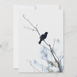 Cartes Pour Fêtes Annuelles Red Winged Blackbird gratitude/carte de séjour