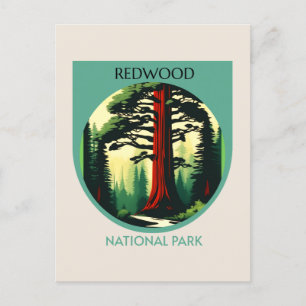 Cartes Pour Fêtes Annuelles Redwood National Park Beauty en Californie