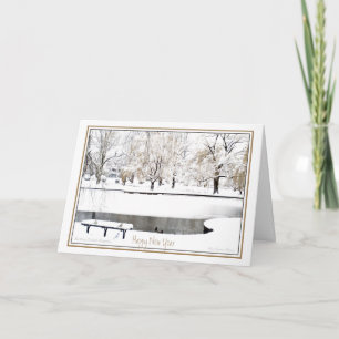 Cartes Pour Fêtes Annuelles Réflexion : Au Nouvel An : Jardin public de Boston