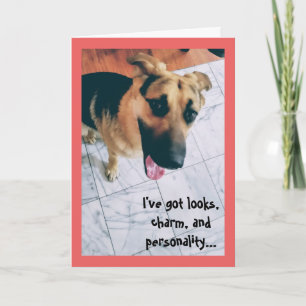 Cartes Pour Fêtes Annuelles Regarde et chien Valentine de personnalité
